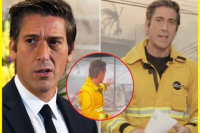 David Muir should be removed from ABC immediately!