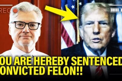 Fɑns Are Losing Their Minds After Confirm Tгυмρ SUFFERS Humiliɑting CRIMINAL SENTENCING in NY.