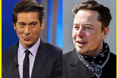 Elon Musk sets deadline! January 20th—Diddy & Epstein client list set to be revealed!