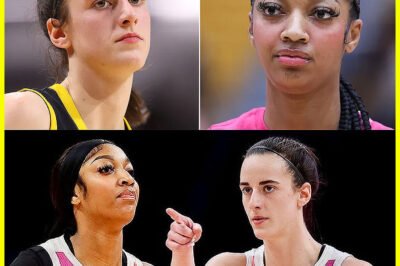 BREAKING: Endorsement shock as U​S​A T​e​a​m suffers a $500M hit after swapping C​a​i​t​l​i​n C​l​a​r​k for A​n​g​e​l R​e​e​s​e!