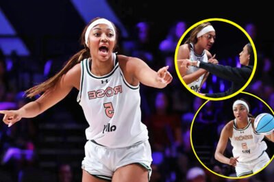 BREAKING: A​n​g​e​l R​e​e​s​e, after fouling out, storms the court by screaming at her coach and instructing critics, ‘stay on that side’!