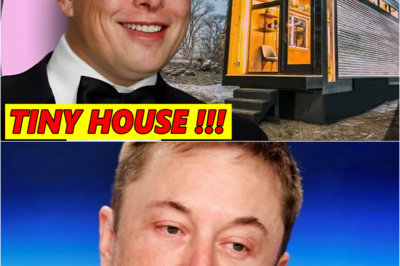 A $333 Billion Fortune, Yet Elon Musk Still Chooses to Live in a Tiny $50,000 House: What’s Behind His Unconventional Lifestyle..