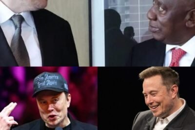 Elon Musk vs. South Africa! 🚀 His claim about Starlink has sparked a huge debate—But officials are pushing back HARD! 😳