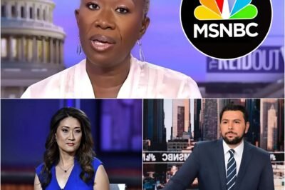 “MSNBC Shocks: After Joy Reid’s Firing, Three Veteran Stars Suffer the Same Fate – What’s the Real Reason?”