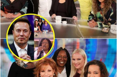 Elon Musk called for a boycott of The View, calling it a “meeting place for stupid women.” The entire cast immediately responded angrily.