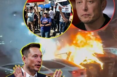 Elon Musk Powerless as Tesla Faces Continuous Terrorism, Pleads for End to Attacks