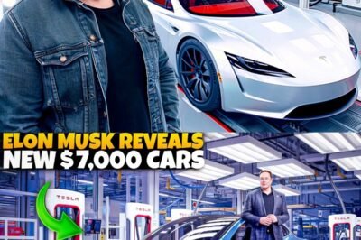 Elon Musk FINALLY Revealed NEW $7,000 Tesla Automotive!