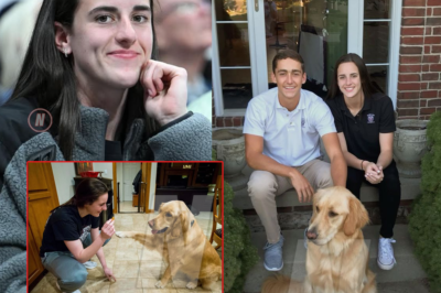 Stray Puppy Keeps Following Caitlin Clark, What Happens Next Will Bring You To Tears