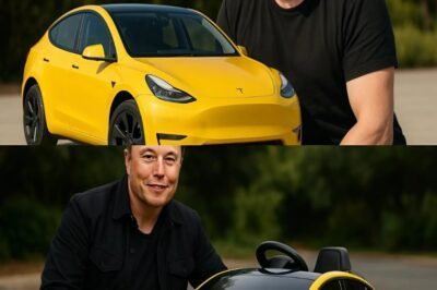 BREAKING: Elon Musk Promises a Cheap Tesla Under $2000.00 by 2026 – melia