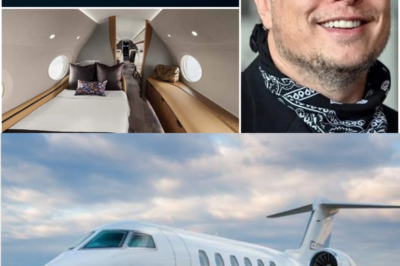 Musk’s G700: The Billionaire’s Wingspan that is Changing Private Air Travel