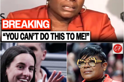 SHERYL SWOOPES FIRED FROM WNBA TV IN EXPLOSIVE SHAKEUP OVER CAITLIN CLARK CONTROVERSY