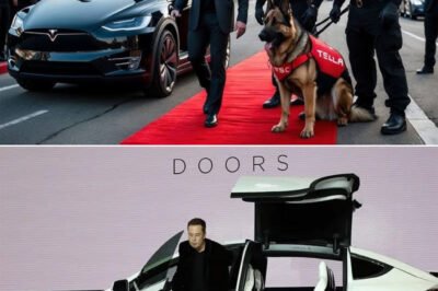 Elon Musk’s New $1 Billion Personal Bodyguards SCARED Americans