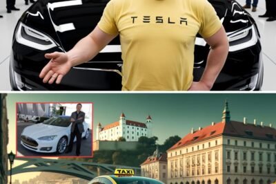 Elon Musk’s Secret Plan for a Game-Changing Taxi Service Hidden in Plain Sight – Here’s What We Know So Far!