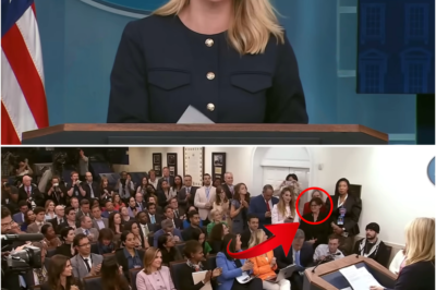 Whole Room Clapped For A Minute When Karoline Said This About Her