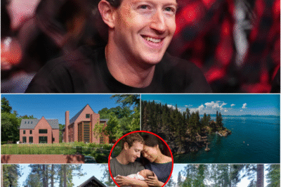 Inside Mark Zuckerberg’s $300 Million Property Portfolio