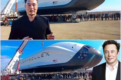 Elon Musk Unveils Revolutionary Supersonic Space Jet Concept 