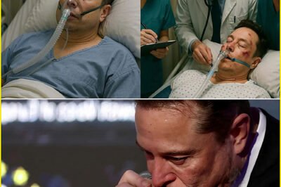 New Update: Elon Musk Brutally Attacked Just 15 Minutes Ago – Doctors Monitor Billionaire Entrepreneur Is Now in Critical Condition After New Announcement…