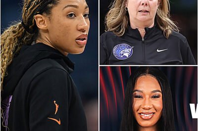 The Seat-Swap Spite Match: How One Desperate Signing Ignited the WNBA’s Most Personal and Petty Feud