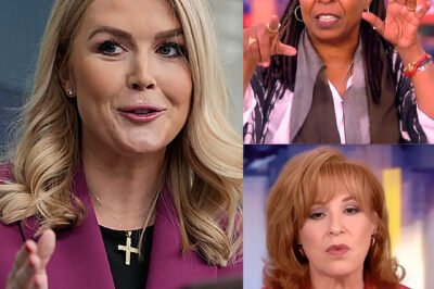 “Did she really just say that?” — Karoline Leavitt shut down The View with just 7 words — and 46 seconds later, the entire studio stood up and applauded