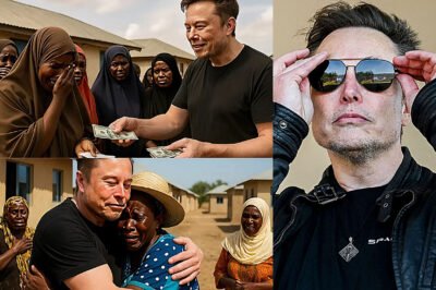 ELON MUSK QUIETLY DONATES $15 MILLION OF HIS OWN MONEY TO RESCUE A FORGOTTEN LAND — AND WHAT HE DID CHANGED EVERYTHING