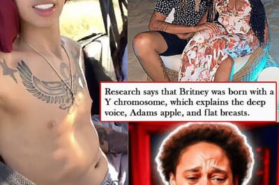 Brittany Griner’s Move to the NBA: Escape, Exposure, or Evolution?