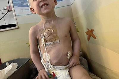 Hendrix’s First Victory: Chemo and Stem Cell Transplants Complete.