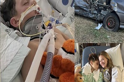 Alexander’s Final Flight: A Story of Courage, Love, and an Unbreakable Bond