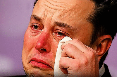 “Elon Musk burst into tears and said, ‘What did I do wrong to be treated like this…’”