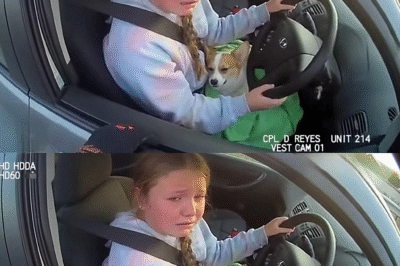 “She Drove for Love”: How a 12-Year-Old, a Dying Puppy, and a Calm Texas Cop Turned a Near-Tragedy into a Masterclass in Compassion