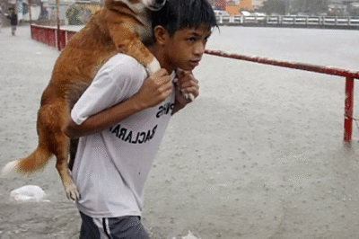 “Ethan and the Storm: The Boy Who Saved a Forgotten Life”