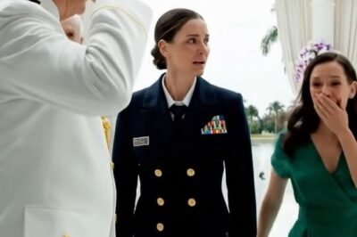 At my brother’s wedding in Key Biscayne, the air smelled like salt, money, and roses flown in..