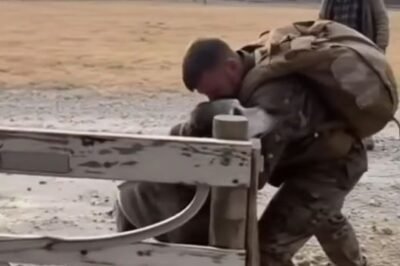 The kind of quiet that hangs over an old American farmhouse at dusk has a way of telling the truth before anyone speaks. The porch boards remember every footstep.