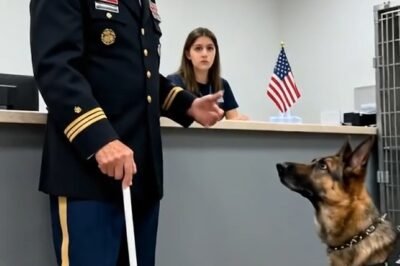 The fluorescent lights in the county shelter flickered like they were afraid of what lived in the back wing.