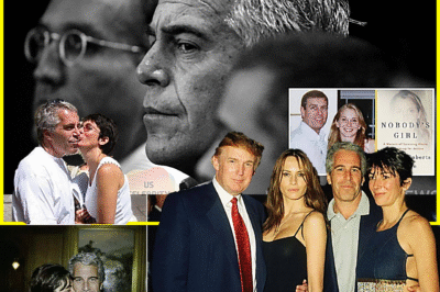 “THE BOOK THEY TRIED TO BURY JUST EXPLODED.”