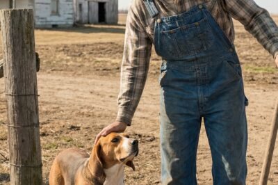 The bank didn’t want the dog. The auctioneers didn’t care about the dog. So on the morning Jack turned twenty-two, he inherited two things: a Nebraska farm drowning in debt… and a Blue Heeler puppy that would quietly save his life.