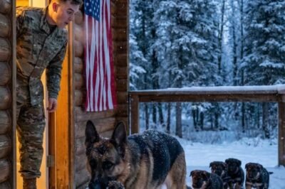 SOMETHING WAS WRONG WITH THIS DOG’S PUPPIES — THE NAVY SEAL WHO OPENED THE DOOR CHANGED EVERYTHING