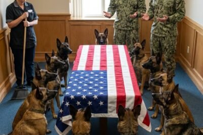 NAVY SEAL SAID “GO HOME.” ALL 12 MILITARY DOGS REFUSED—AND STOOD GUARD INSTEAD.