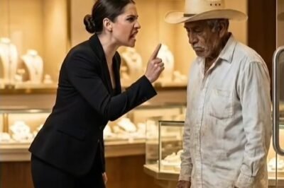 ¡NUNCA JUZGUES UN LIBRO POR SU PORTADA! Lo que le hicieron a este anciano en la joyería más lujosa de la ciudad te va a dejar con la boca abierta… y el corazón arrugado.