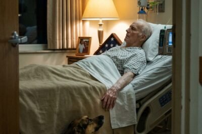 “IF WE FILE THE REPORT… THE DOG HAS TO GO.”  The sentence landed hard. No echo. No debate. Just silence—thick, waiting.