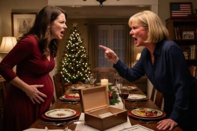 Christmas dinner. One sentence. And my mother erased me from the family.  “I’m pregnant.”